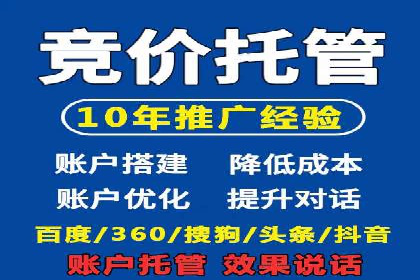 某电商平台的SEM推广实践与效果展示